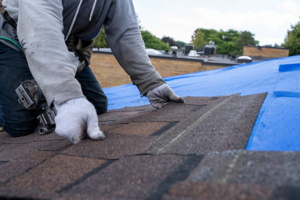 Gutter Installation and Roofing in Bridgeport, TX